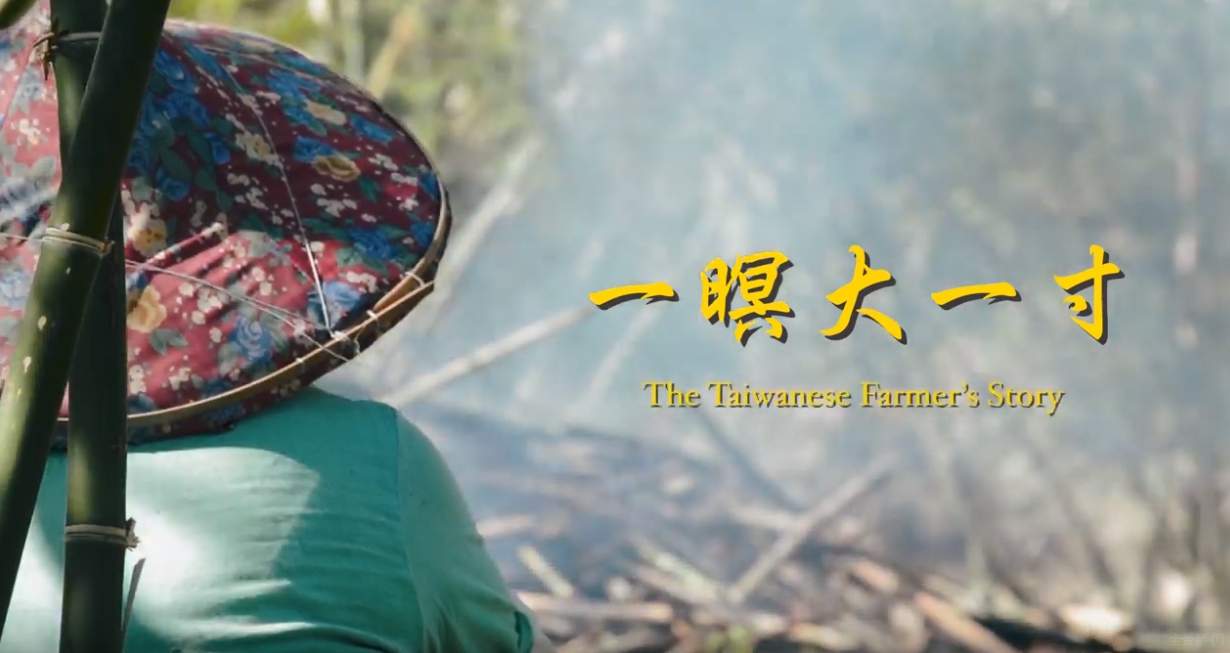 這是一張圖片 1561602505229