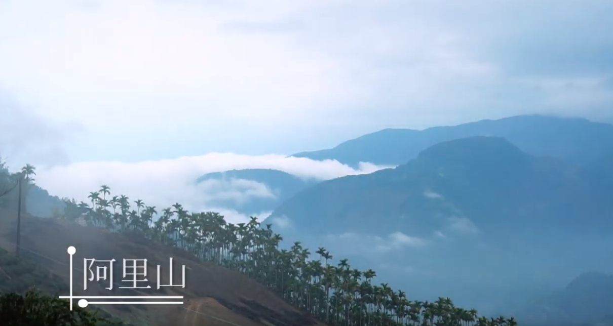 這是一張圖片 1561602181010