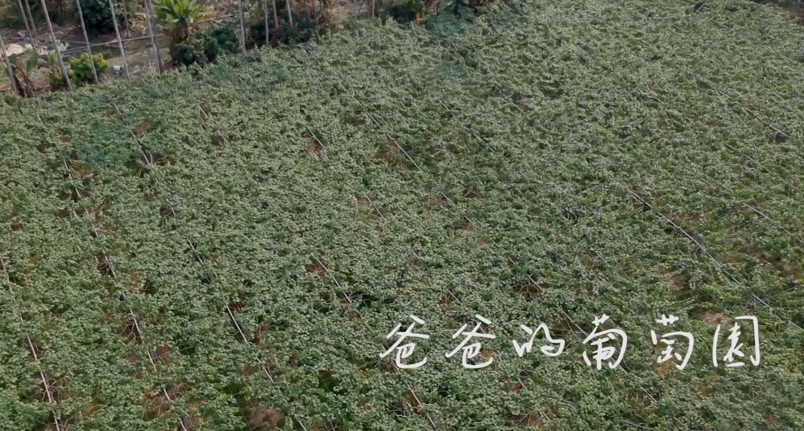 這是一張圖片 1561602911677