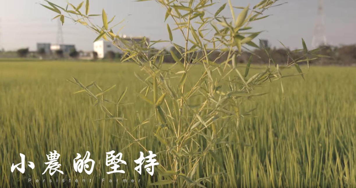 這是一張圖片 1561602255511